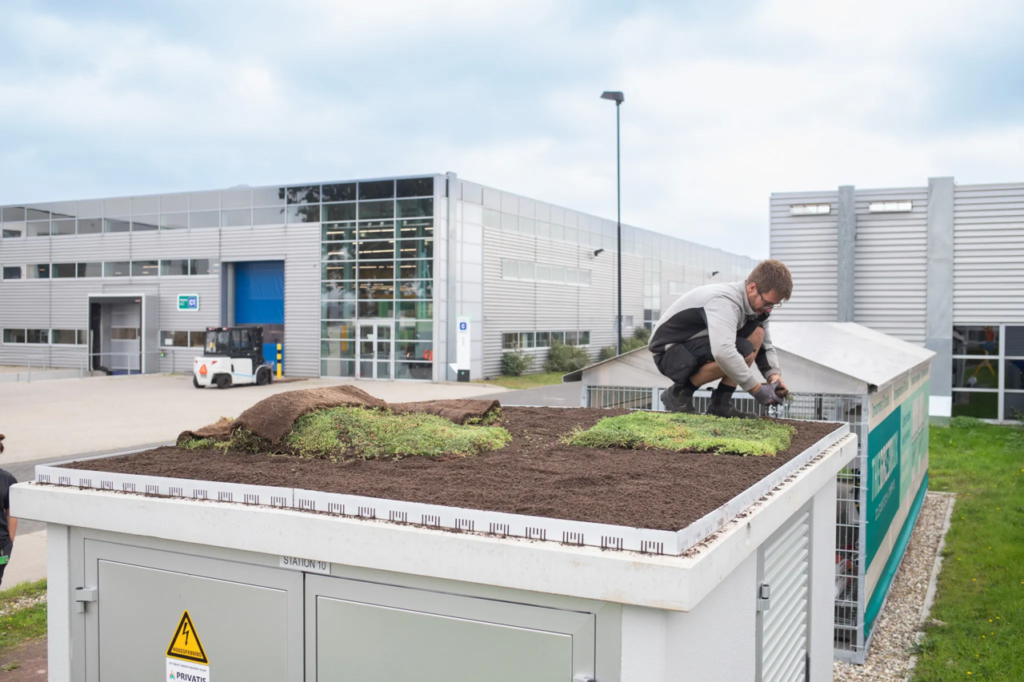 Medewerker installeert sedum op dak van transformatorhuis
