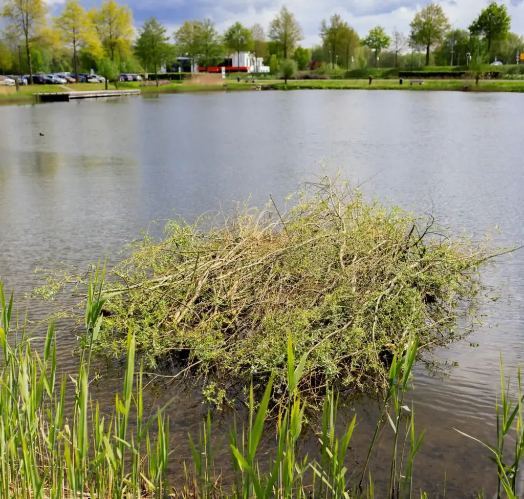 Een groot vissenbos van takken en gras aan de oever van een meer, omringd door riet en waterplanten.